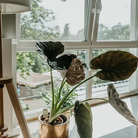 Szálloda Hoenow Hoppegarten