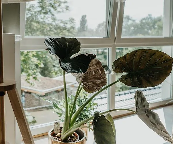 酒店 Hoenow 霍珀加滕