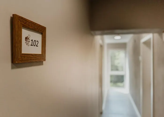 Hoenow 酒店 霍珀加滕